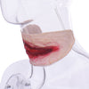 Scary Vampire Bite Horrible Halloween Festival Masks Neck Bite Wound Horror Mask Party Halloween Costume Party Cosplay Supplies