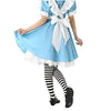 ADULT DELUXE ALICE COSTUME