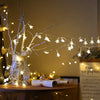 5M Led Copper Wire String Lights Romantic Wedding Fairy Light Decoration AA Battery