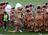 T-Rex Costumes Dinosaur Fancy Dress Adult Kid Men Women Blowup Halloween Jurassic World T Rex Cosplay Outfits
